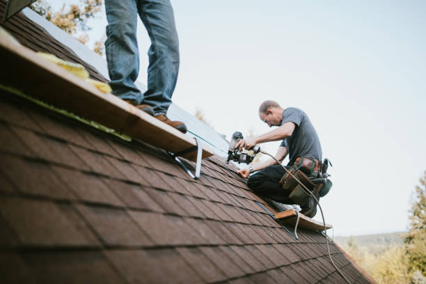 Best Metal Roofing Contractor  in Lafayette, GA